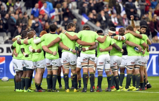 15 Springbok stats and facts