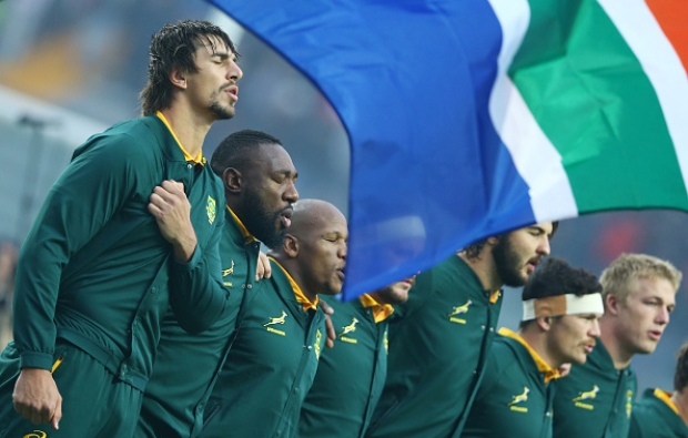 13 Springbok facts and stats