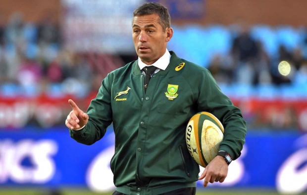 'Boks can kick on with Rassie'