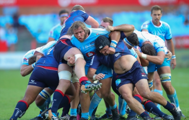 Schoeman banned for biting