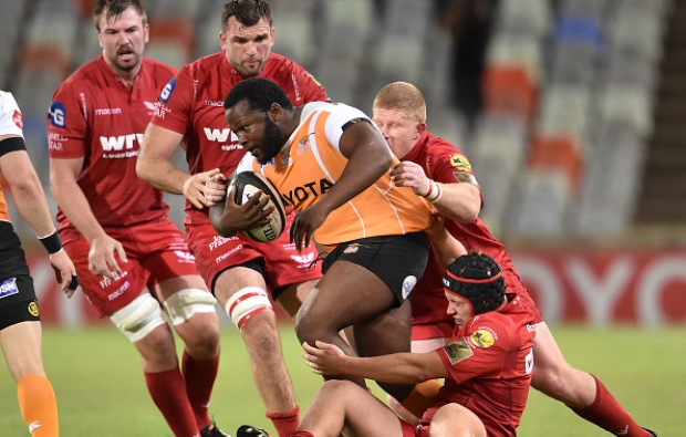 'Cheetahs have showed fight'