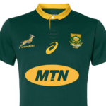 Springbok supporters jersey