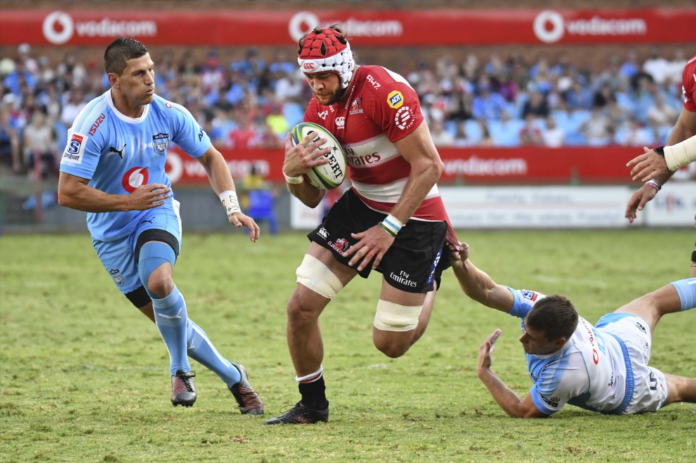 Whiteley returns to lead Lions