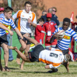 WP pound Free State, Boland edge Lions