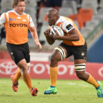 Mohoje to lead Cheetahs in Pro14