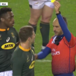 Watch: Le Roux yellow-carded by Poite