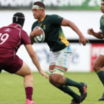 Future of Springbok rugby (second row)
