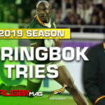 Watch: 2019 Springbok tries