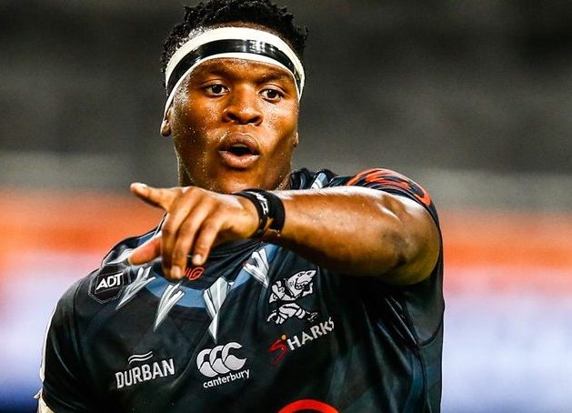 Phepsi: Sharks blessed with quality loose forwards