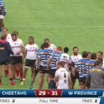 Highlights: WP snatch victory over Cheetahs