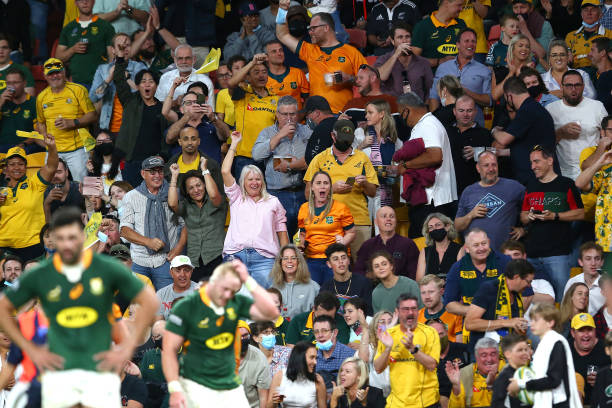 Wallabies fans celebrate the win against the Springboks Nienaber