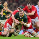 Healey: I'd love Boks in Six Nations, but ...