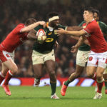 Kolisi: South Africans don't accept defeat