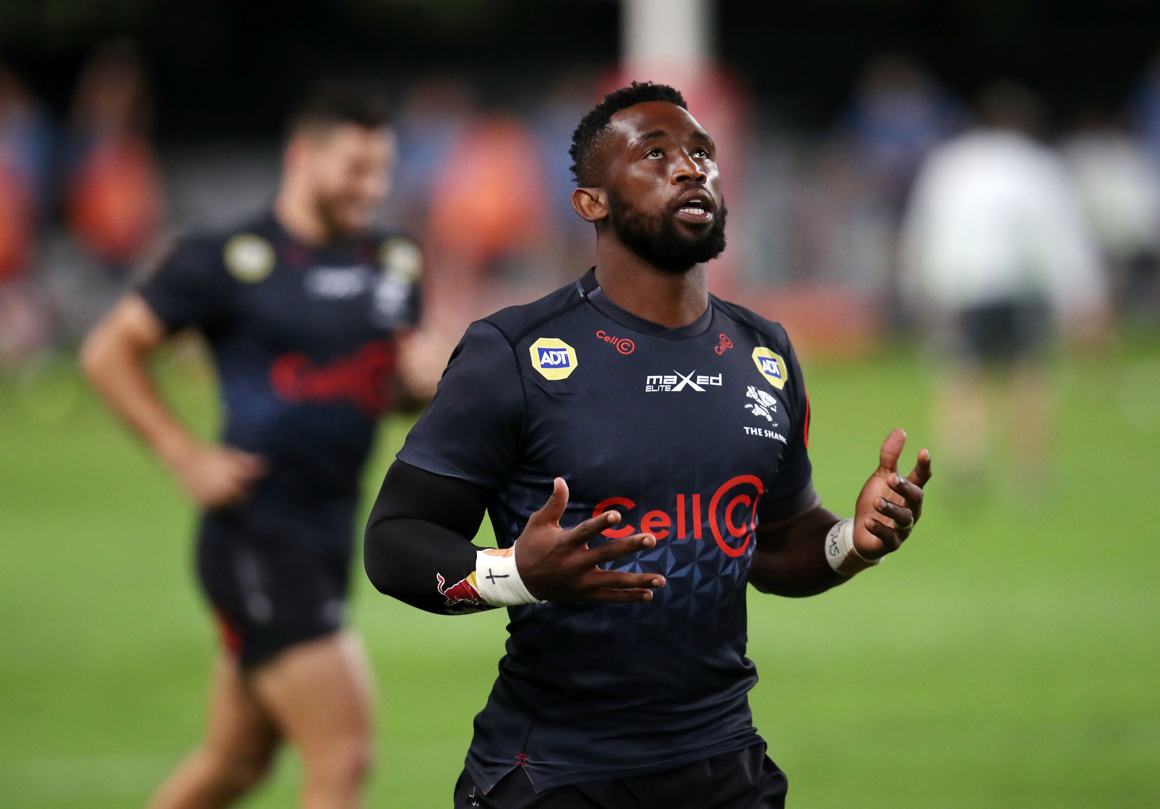 Why Sharks are resting key Bok duo for URC clash against the Lions - SARugbymag