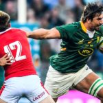 Highlights: Bok power game too much for Wales