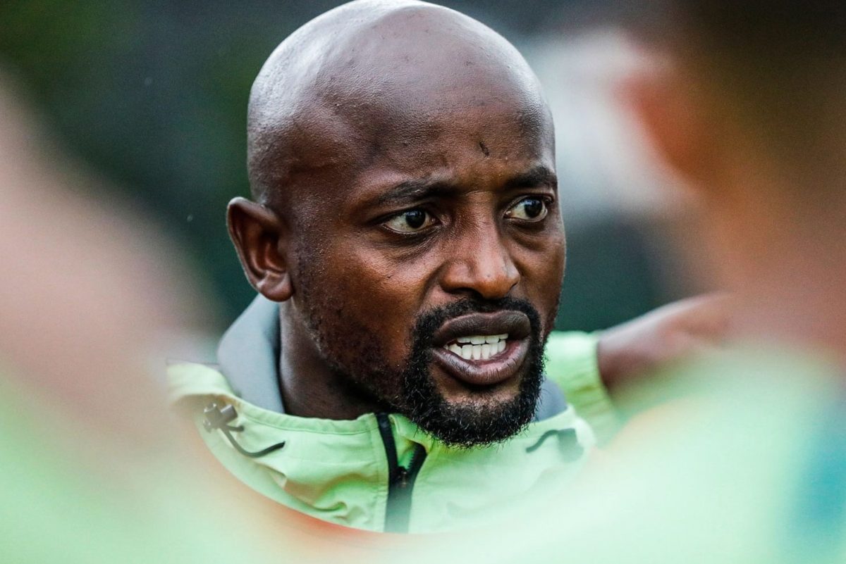 Blitzbok coach Sandile Ngcobo