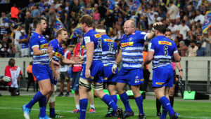 Stormers players celebrate a try scored by Deon Fourie of Stormers during the Heineken Champions Cup 2022/23 game between Stormers and Clermont at Cape Town Stadium on 21 January 2023