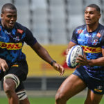 Watch: The goose is loose at Stormers HQ
