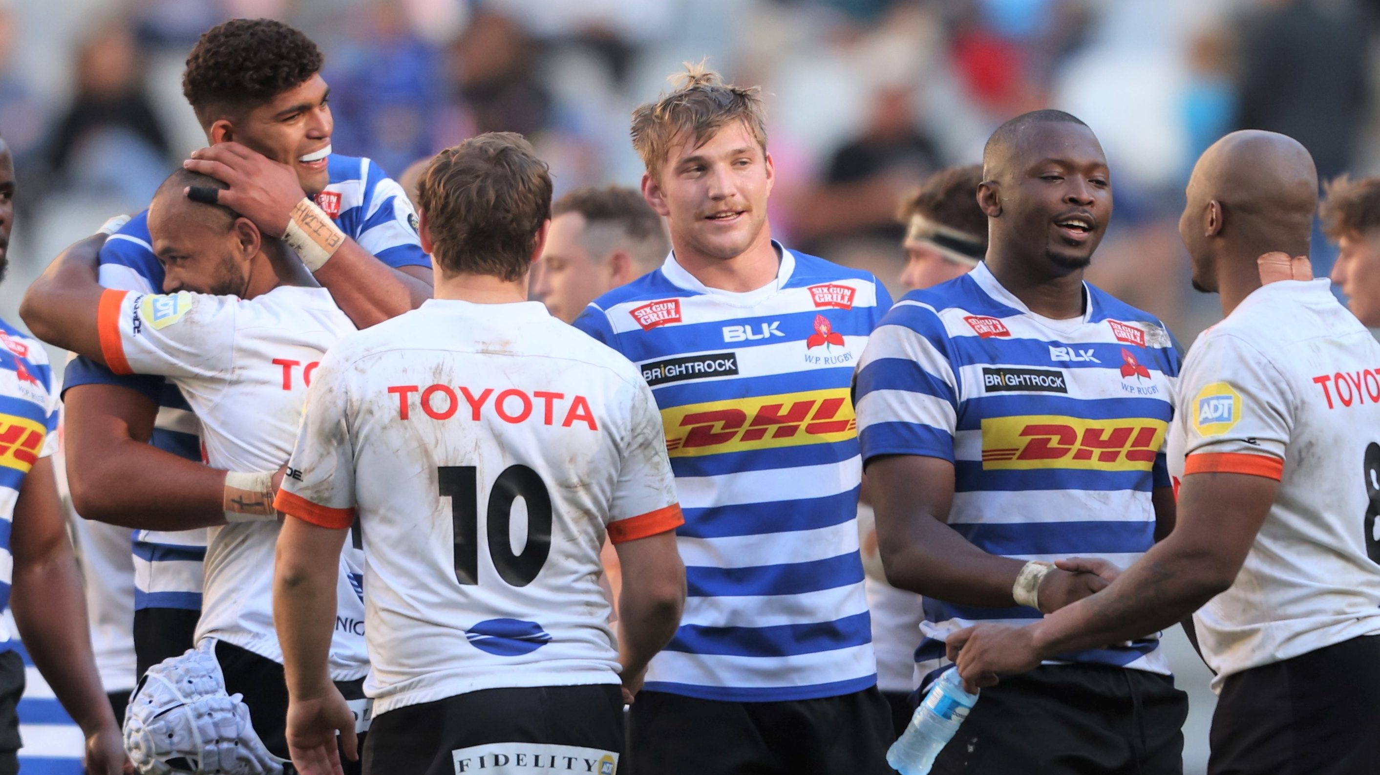 Cheetahs and Western Province players embrace
