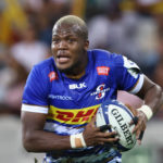 CAPE TOWN, SOUTH AFRICA - APRIL 01: Hacjivah Dayimani of the DHL Stormers during the Heineken Champions Cup, pool match between DHL Stormers and London Irish at DHL Stadium on December 17, 2022 in Cape Town, South Africa. (Photo by EJ Langner/Gallo Images)