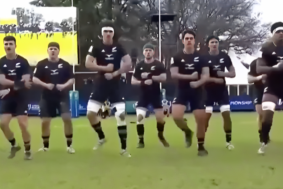 Poll: Was this haka excessive?