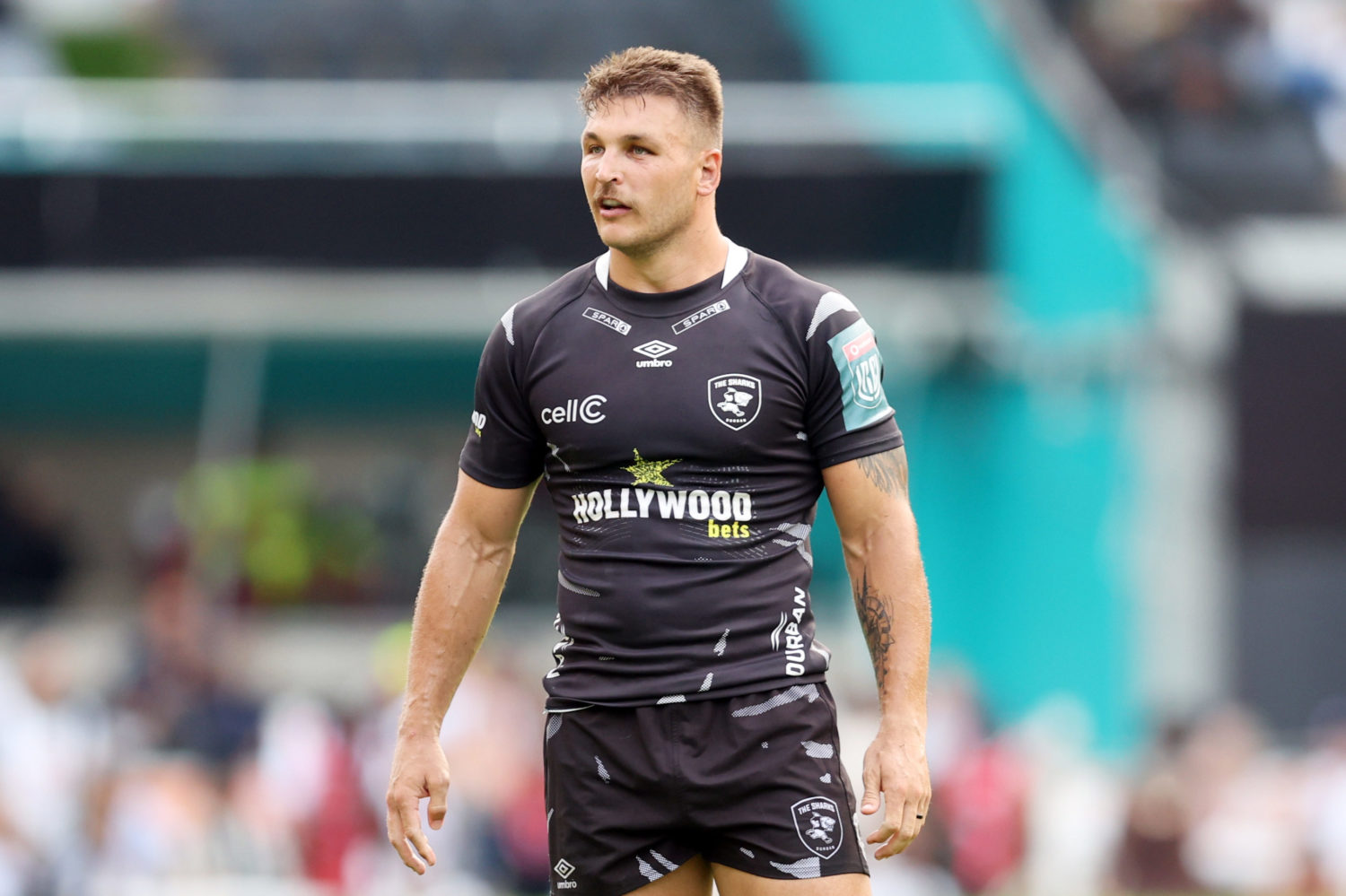 Four captains for Sharks