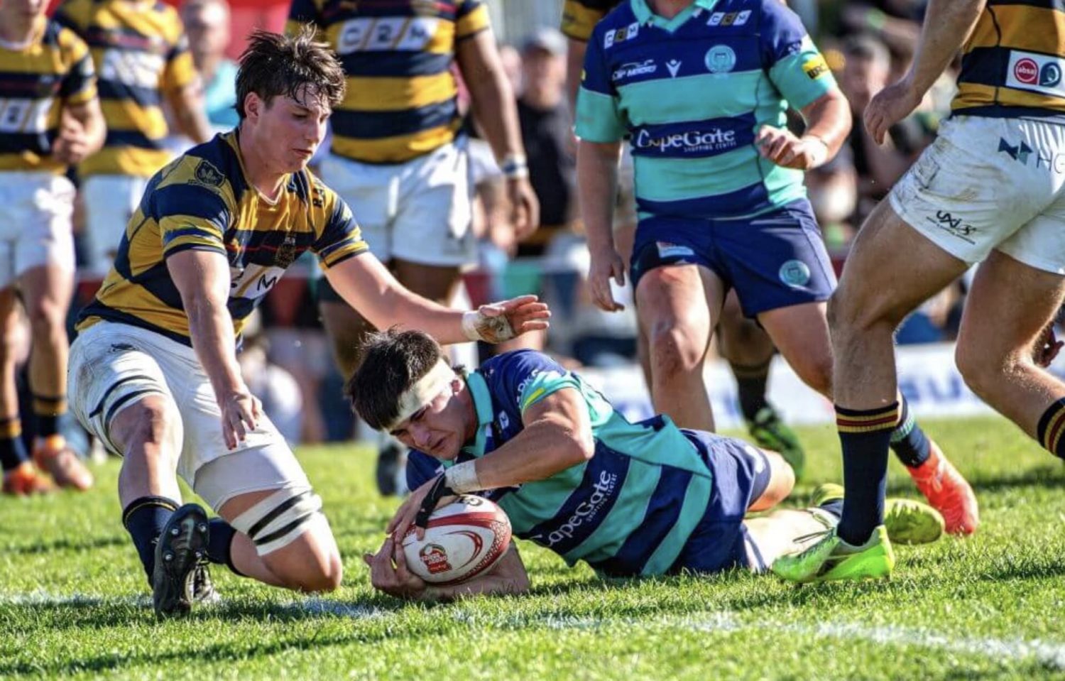 Schools Rugby Results 2026: Stellenberg, Grey, Jeppe Win