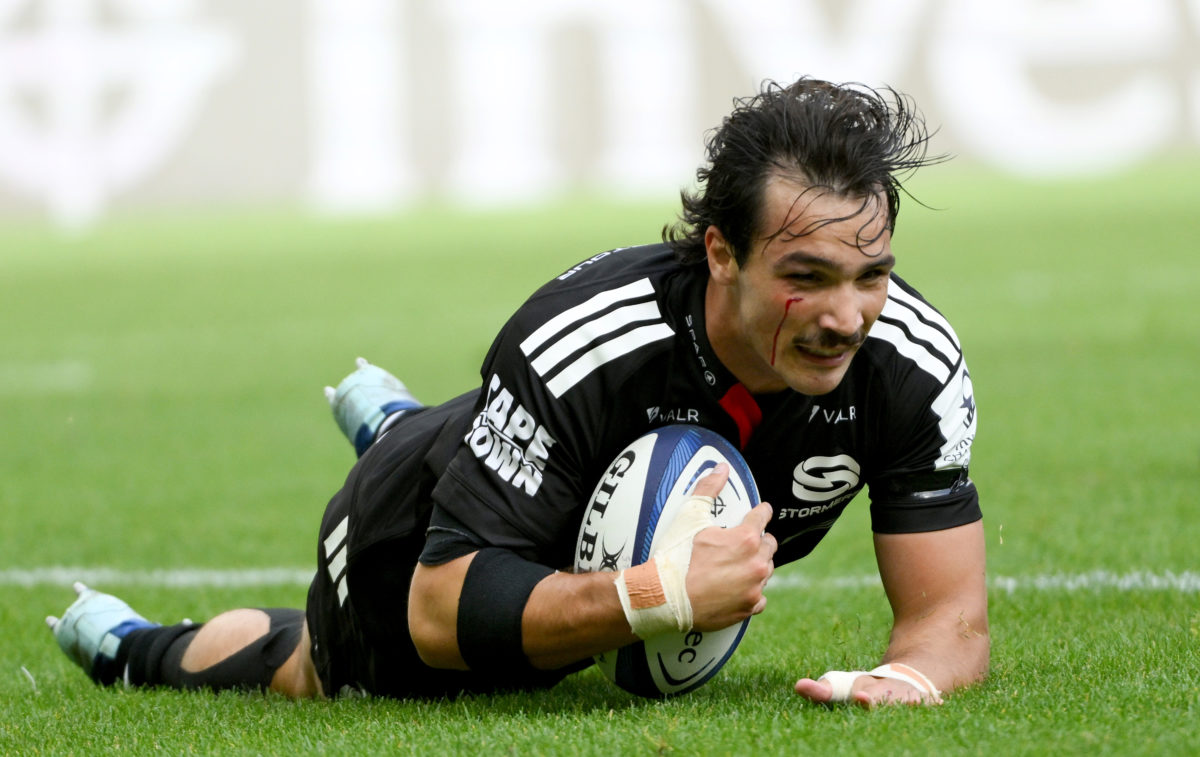 Seven-try Stormers skin Bears